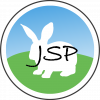 JSP Easy Accounts Logo
